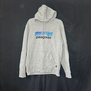 Patagonia Gray Sweatshirt